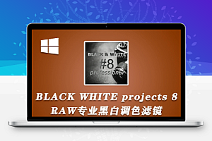 中文汉化-PS/Lr滤镜RAW专业黑白滤镜 Franzis BLACK WHITE projects 8 professional v8.25