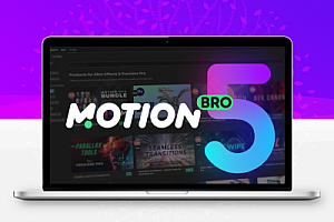 中文汉化-AE/PR可视化模板预设动画管理扩展脚本 Motion Bro v5.0.6