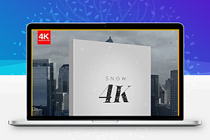 120组顶级下雪飘雪电影特效合成视频素材 LENS DISTORTIONS – Snow 4K