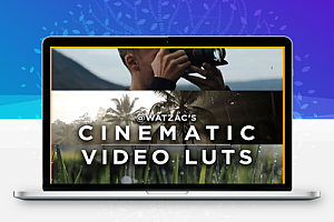66组电影级视频调色LUTs预设 Cinematic Video LUTs By Watzac