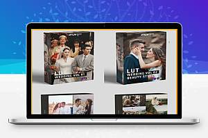 7套达芬奇婚礼视频调色LUTs+DCTL节点预设 Colorwheelstore – Combo Wedding Lut Pack