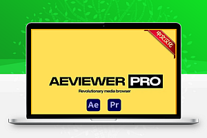 中文汉化-AE/PR脚本|可视化项目模板素材预览管理工具 AEviewer Pro v2.2.3 专业版