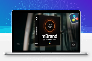 中文汉化-达芬奇插件|14组创意时尚文字标题转场动画 MotionVFX – mBrand