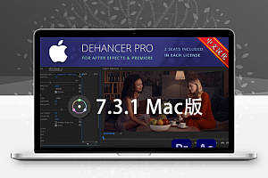 中文汉化-AE/PR胶片模拟视频调色插件 Dehancer Pro v7.3.1 Mac