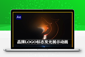 AE模板-视频开头结尾品牌LOGO标志发光展示动画+音效 Logo Animation