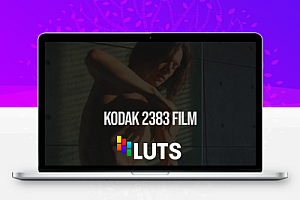 好莱坞柯达胶片仿真电影调色预设 Colorist Factory – Kodak 2383 Print Film Emulation LUT