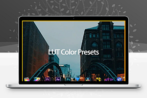 600组婚礼、旅行vlog、时尚大片28种类型视频调色LUTs预设 LUT Color Presets