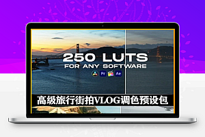 LUTs预设|250组高级旅行街拍VLOG调色预设 250 LUT Color Presets