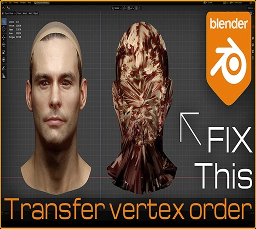 Blender转移顶点顺序插件 Transfer Vertex Order V1.1.0